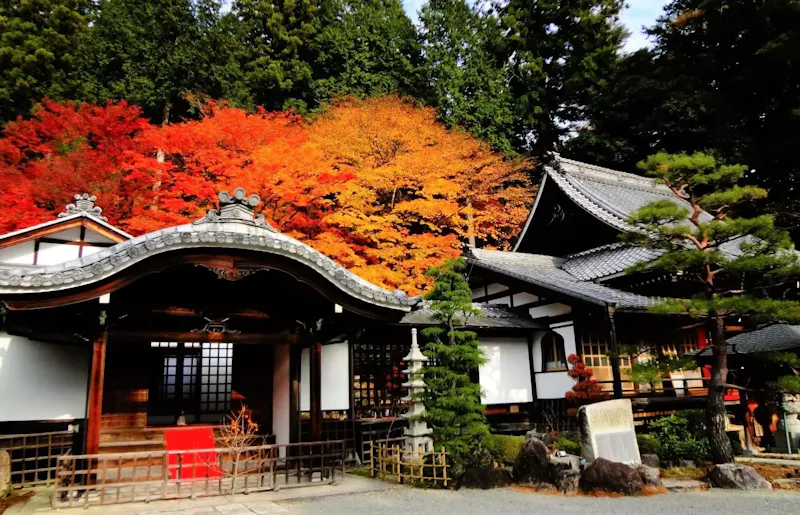 温泉寺