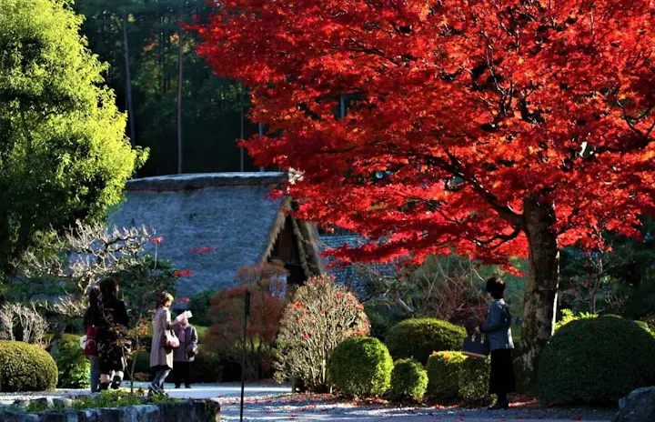 合掌村の四季折々の自然美