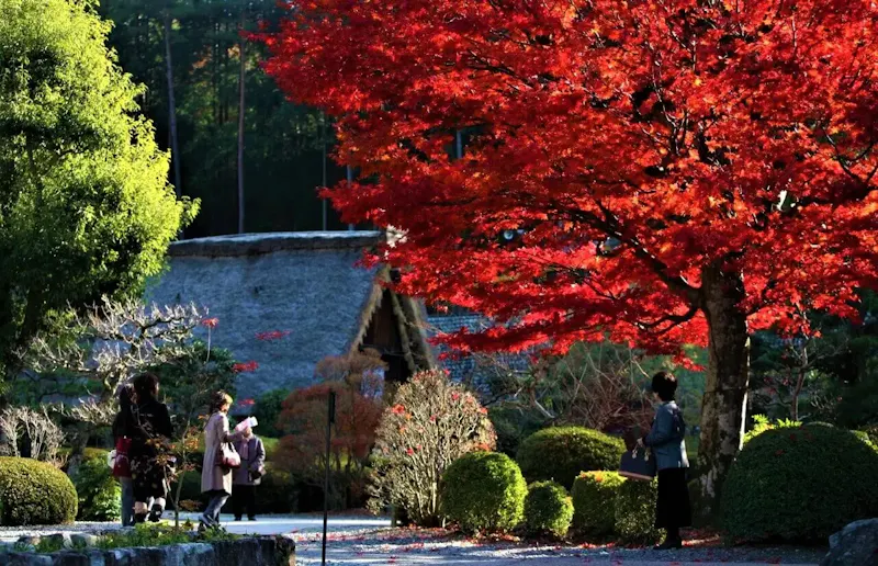 下呂温泉合掌村