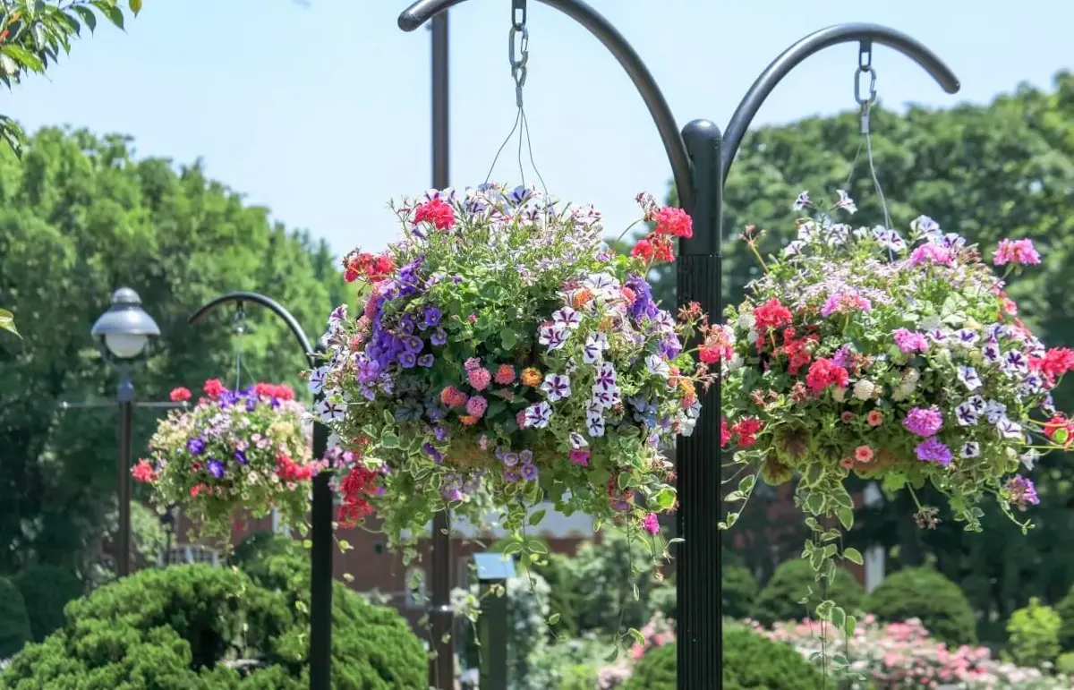 港の見える丘公園（写真 2）