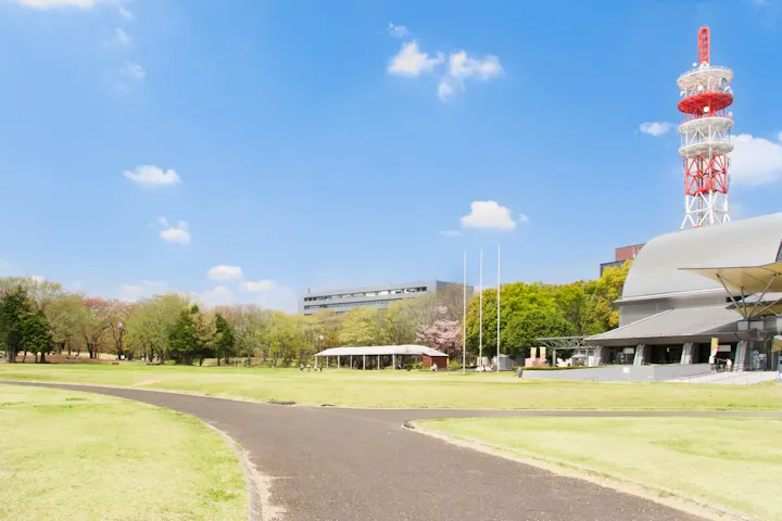 開放感あふれる広大な芝生広場