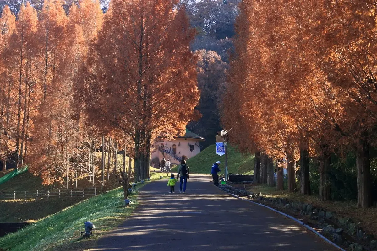 あけぼの子供の森公園（写真 6）