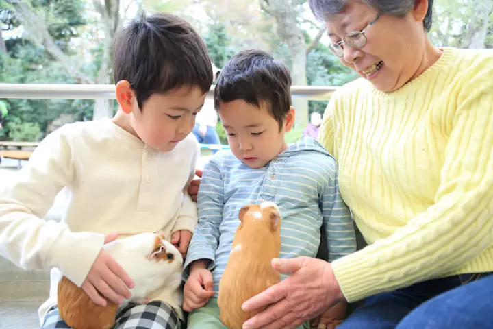 可愛らしい動物とのふれあい