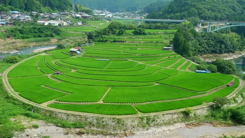 あらぎ島