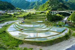 あらぎ島