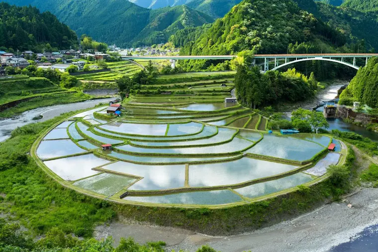 あらぎ島