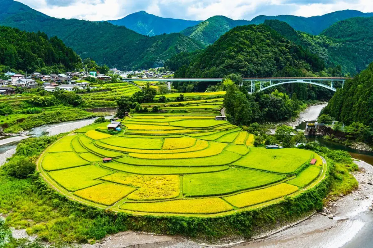あらぎ島(写真 4)