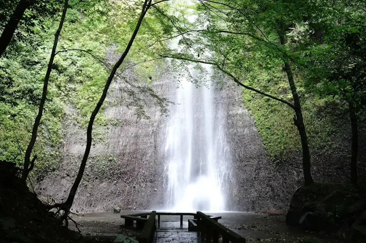 自然豊かな山岳地帯に位置する美しい滝！