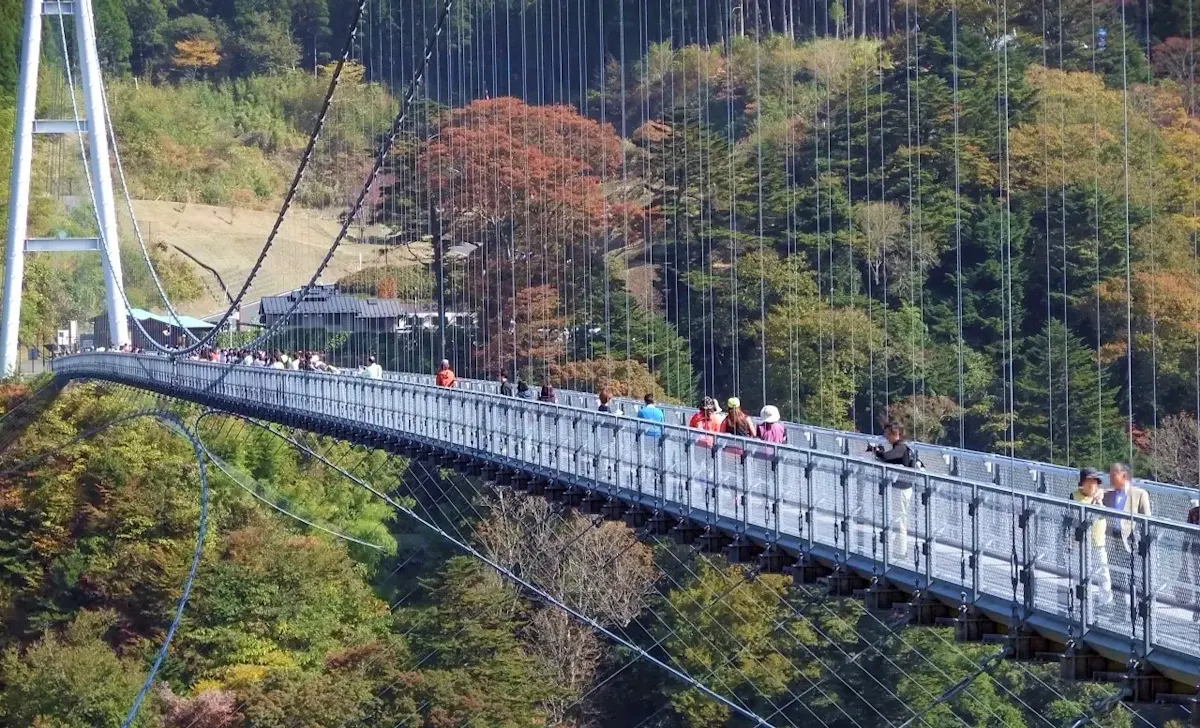 九重“夢”大吊橋(写真 3)