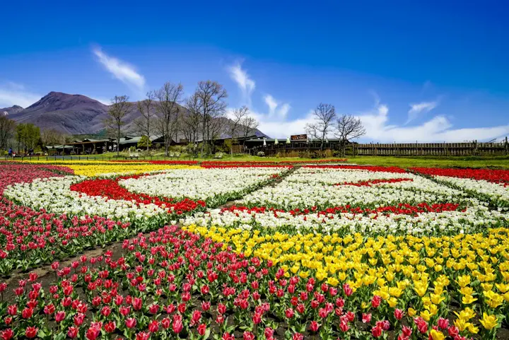 四季折々の花々が楽しめる美しい公園！