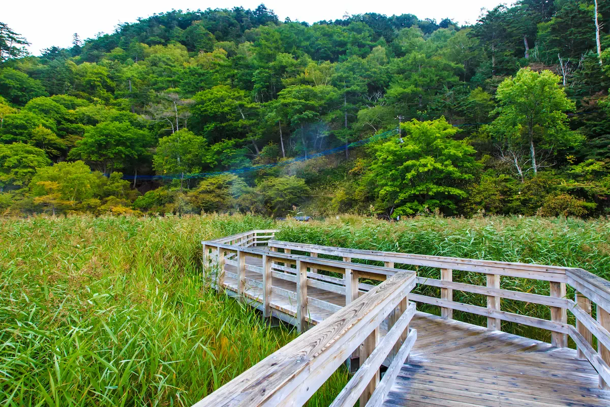 湯ノ平湿原