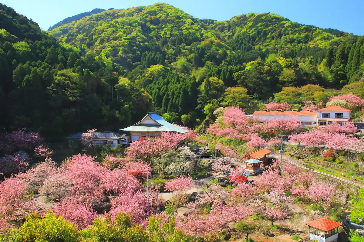 一心寺
