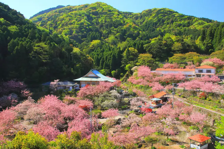 一心寺