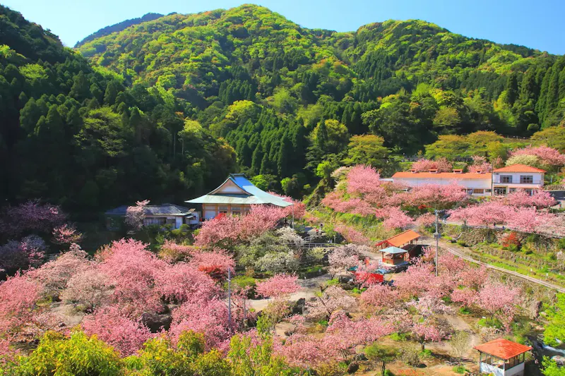 一心寺