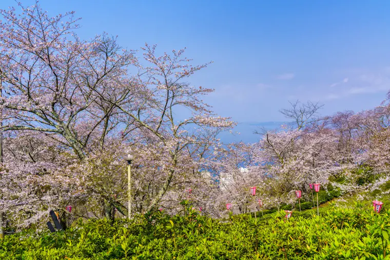 とけん山公園