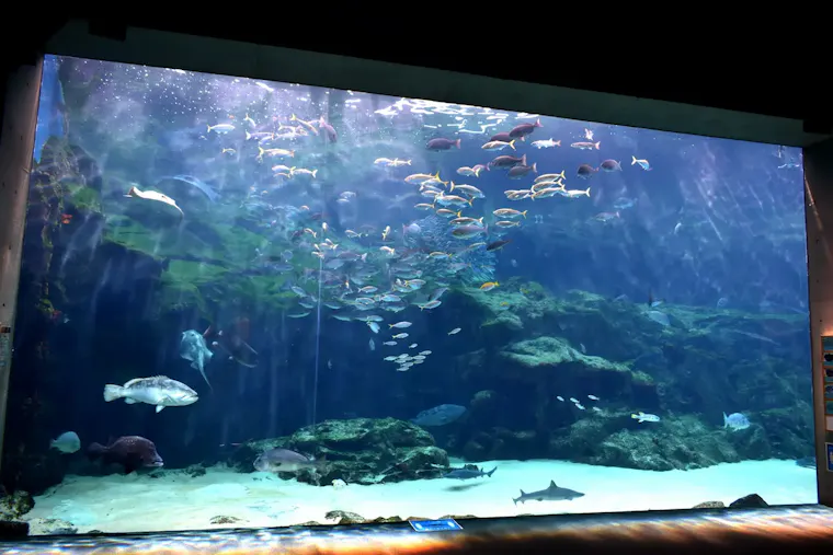 九十九島水族館海きらら