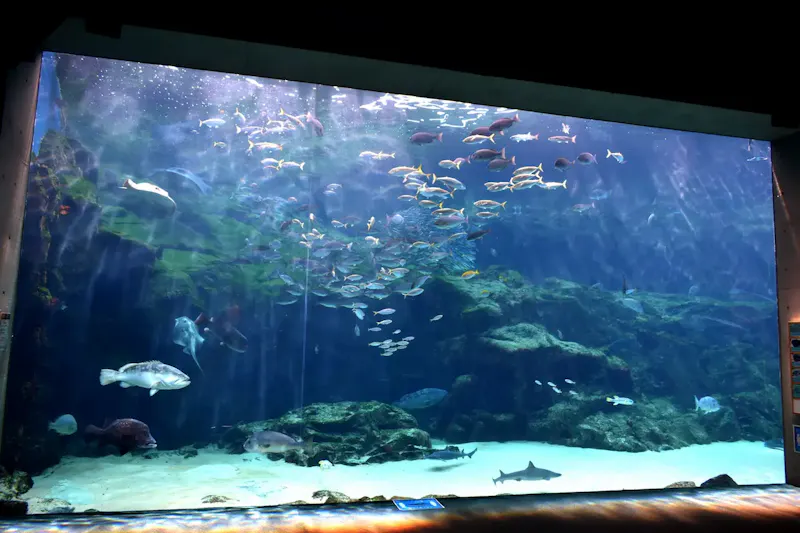 九十九島水族館海きらら