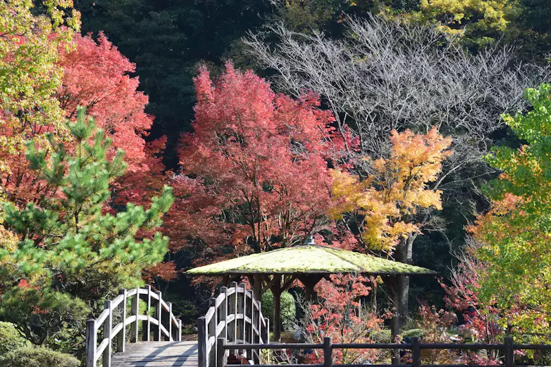 青井岳自然公園