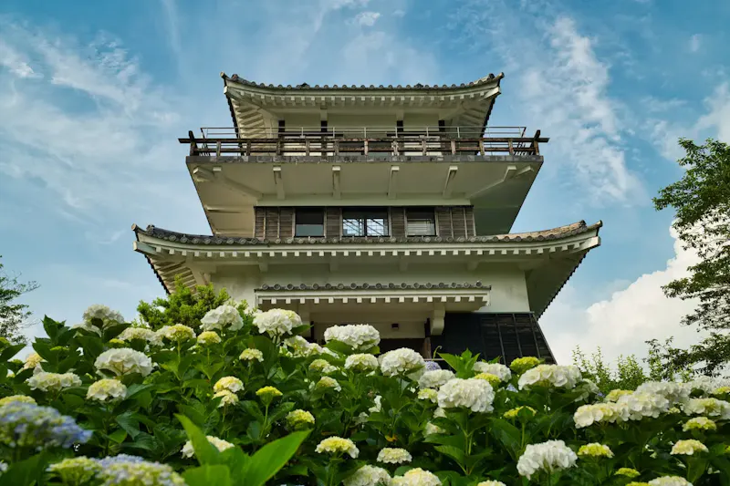 あじさい公園(松尾城跡)