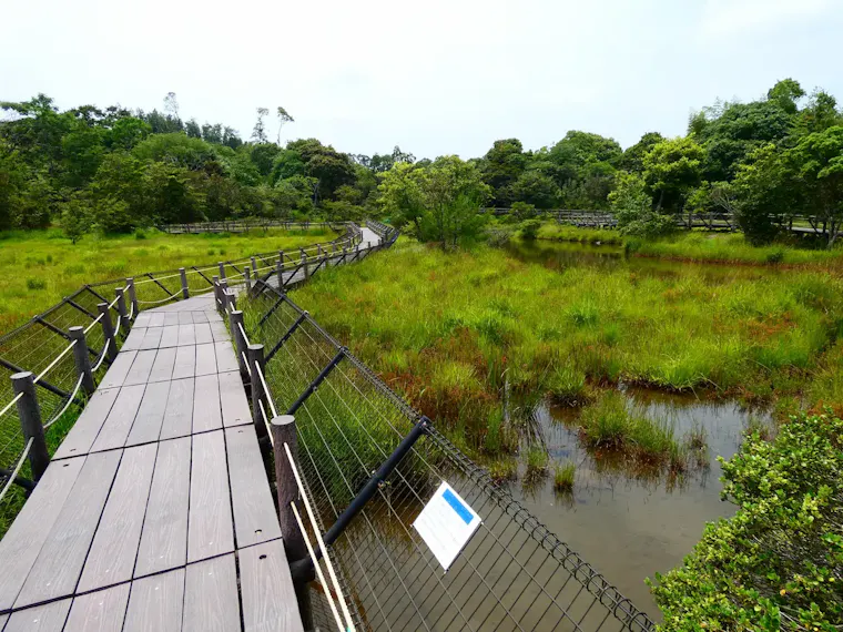 高鍋湿原