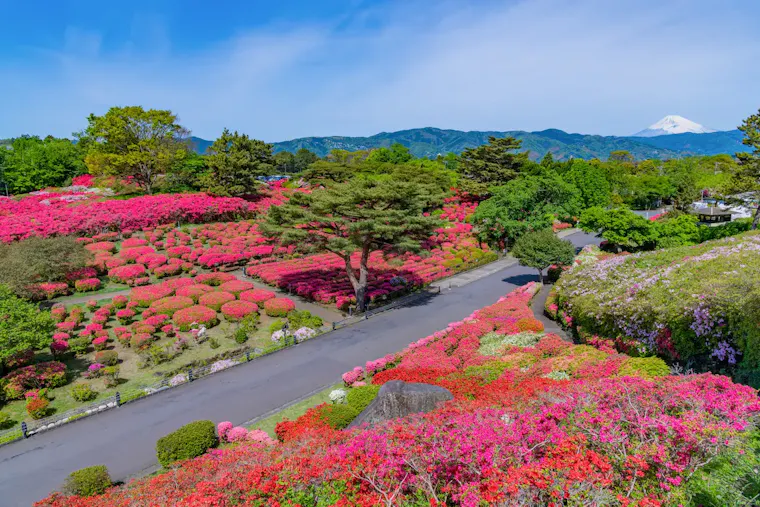 小室山公園