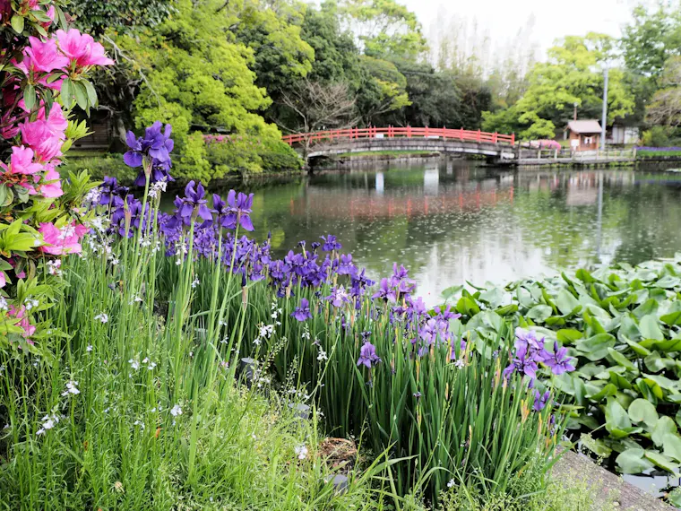 早水公園