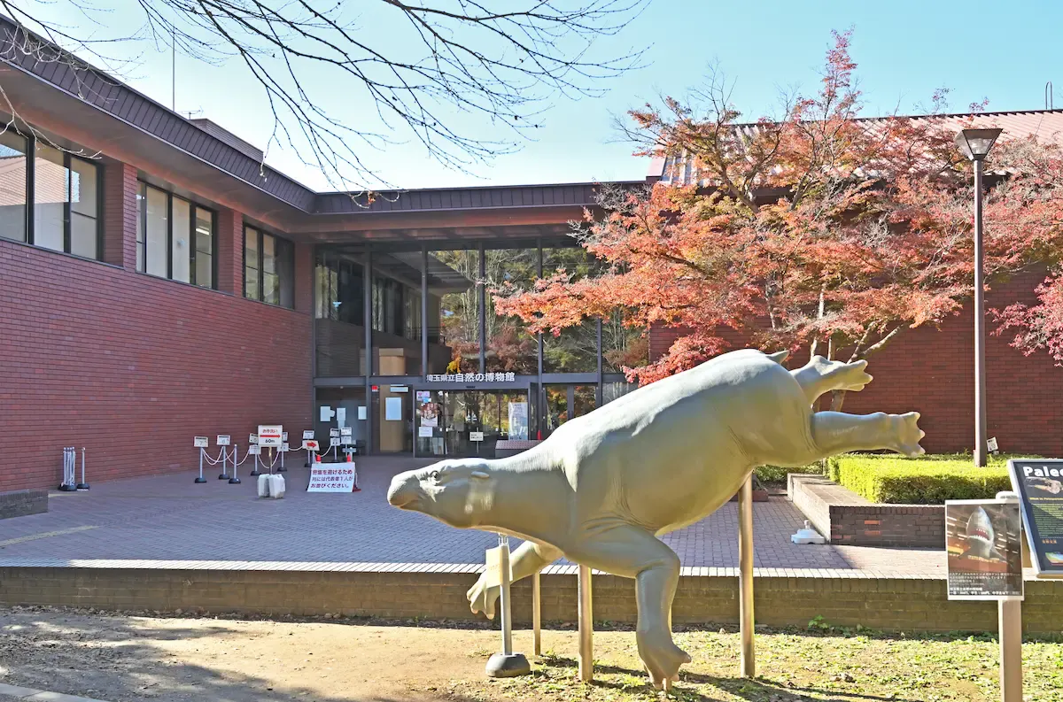 埼玉県立自然の博物館