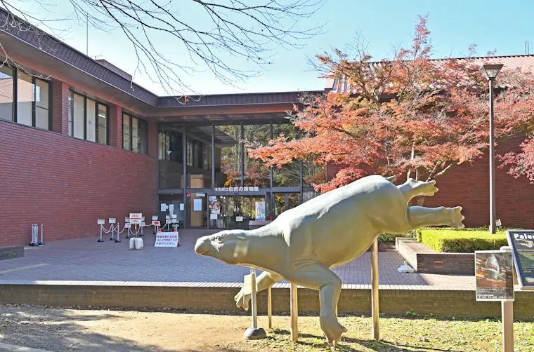 埼玉県立自然の博物館