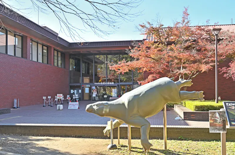 埼玉県立自然の博物館