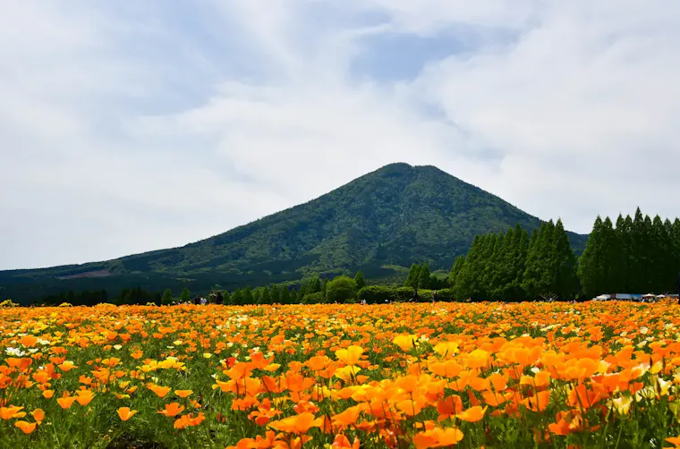 生駒高原